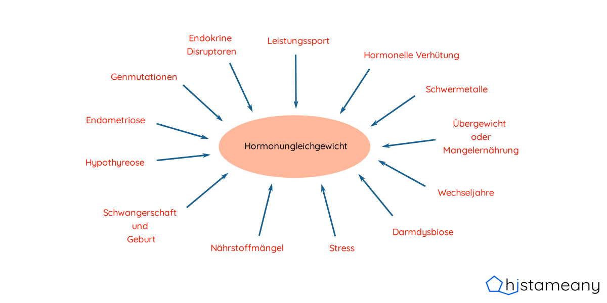 Faktoren, die zu einer Östrogendominanz führen können