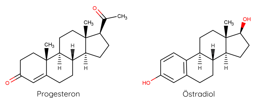 Molekülstruktur von Progesteron und Östradiol