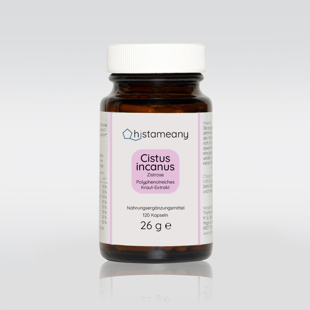 Cistus incanus Zistrose polyphenolreiches Kraut Extrakt 2026