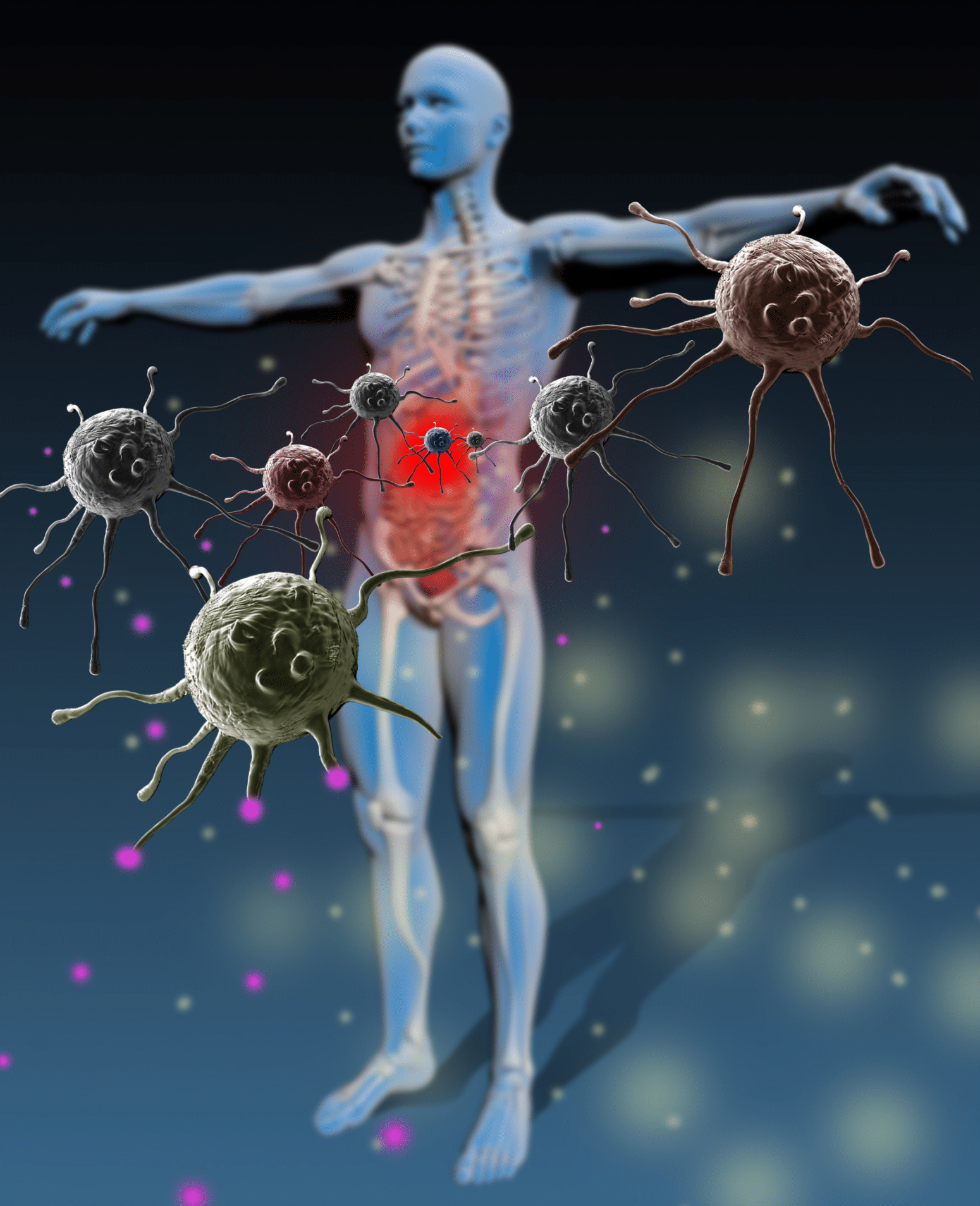 Immunsystem Immunabwehr Infektion Histamin Leukotriene TNF alpha Prostaglandine Fieber Entzündung